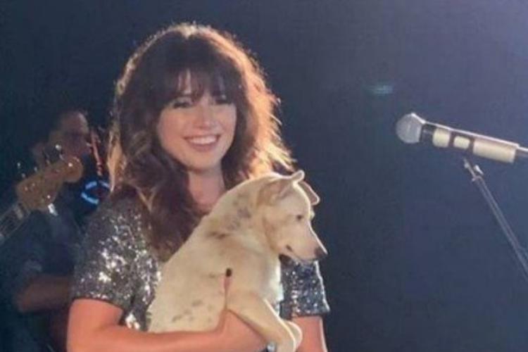 Paula Fernandes é detonada por prefeito de cidade do Rio Grande do Sul