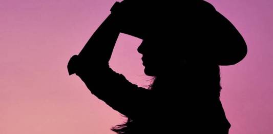 Ilustração - Silhueta Sertaneja