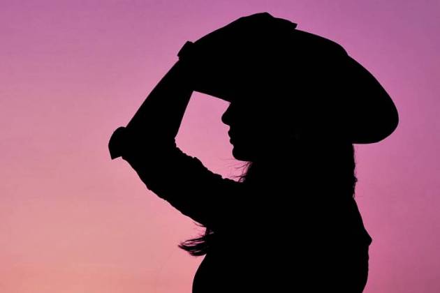 Ilustração - Silhueta Sertaneja