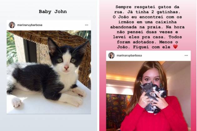 Resultado de imagem para De biquÃ­ni, Marina Ruy posa com gatinho