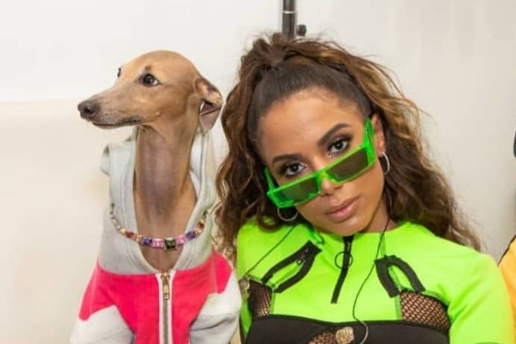 Anitta e o seu cachorro Plínio /Reprodução Instagram