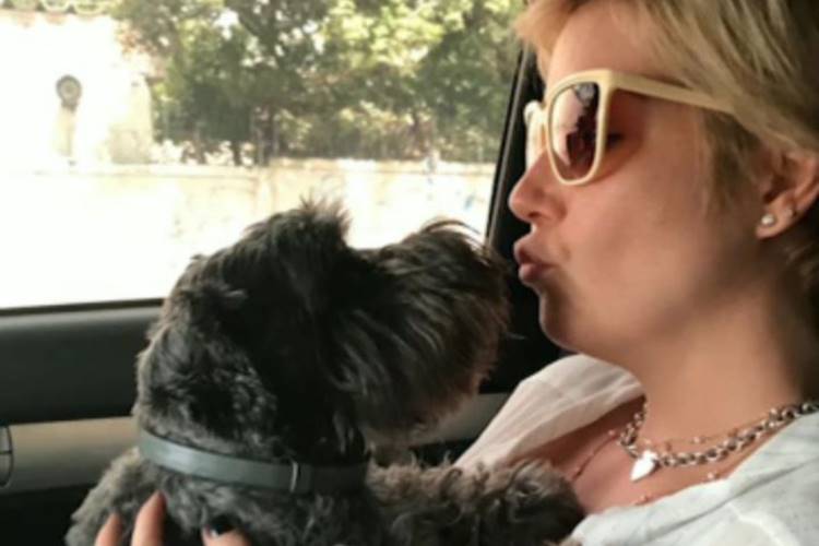 Após lamentar morte de companheira, Luiza Possi novamente se despede