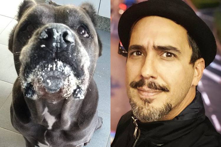 André Marques mostra a cadela toda suja e brinca: “Alguém viu o saco de farinha?”