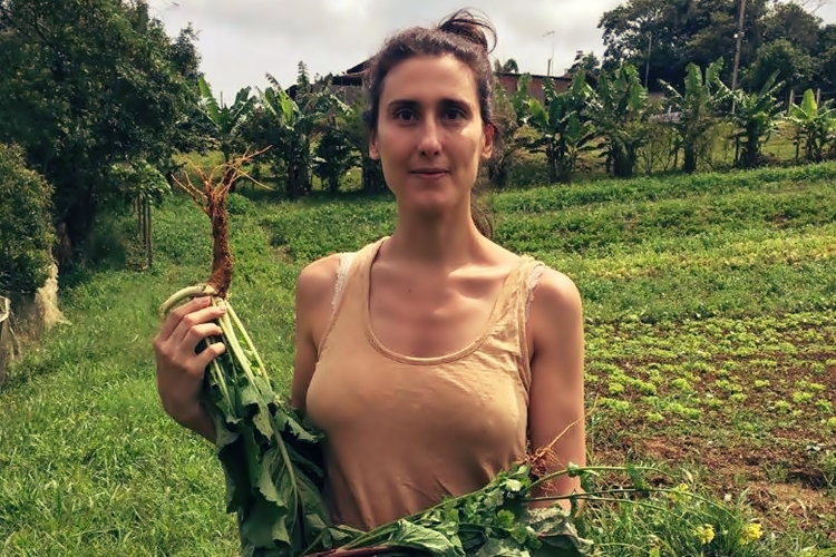 Paola Carosella critica presidente Jair Bolsonaro e discute com seguidores