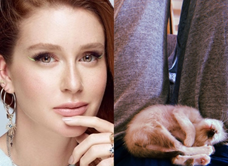 Marina Ruy Barbosa apresenta novo membro da família e pede ajuda a fãs