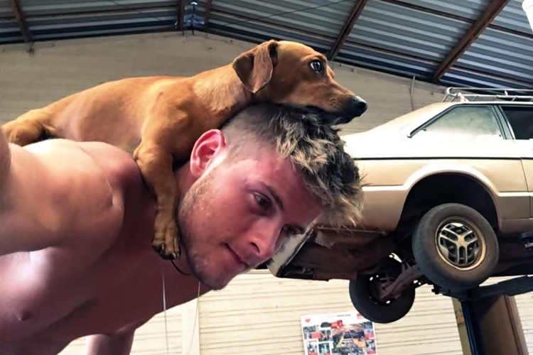 Daniel Lenhardt, ex-BBB20, quer abraçar causa de defesa dos animais e resgatá-los das ruas