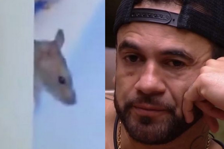 BBB20: ‘Rato do BBB’, Genilson ultrapassa marca de 1 milhão de seguidores: “Chupa Hadson”