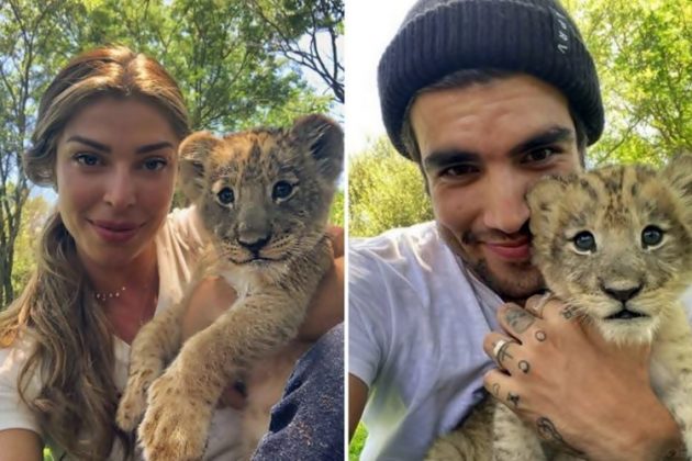 Grazi Massafera e Caio Castro revivem cena de Rei Leão - Reprodução / Instagram