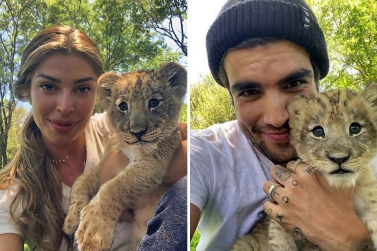 Grazi Massafera e Caio Castro revivem cena de Rei Leão, entenda