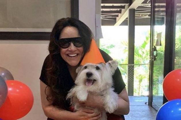 Ana Carolina faz festa de aniversário para Chicó, seu cachorro - Foto: Reprodução/Instagram@sigaanacarolina