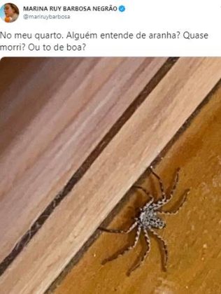 Marina Ruy Barbosa encontra aranha gigante dentro do quarto e se espanta