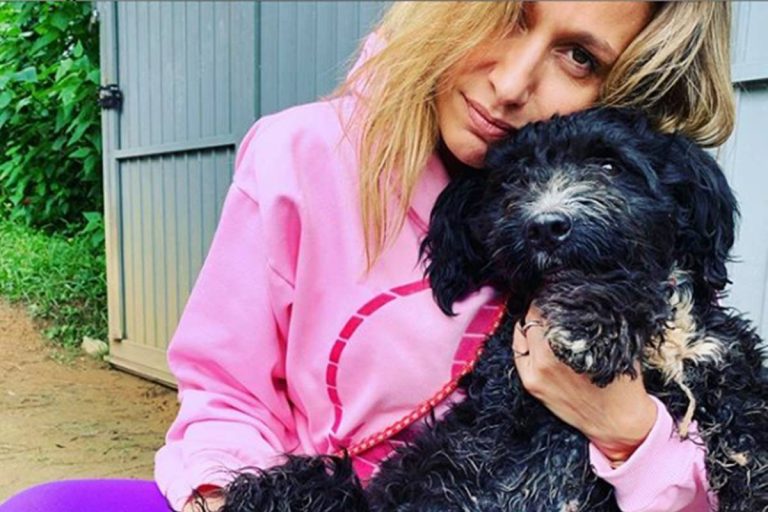 Banco toma doação da ONG de Luisa Mell e ativista fica devendo