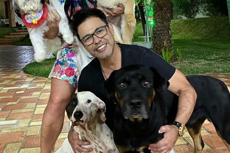 Sertanejo Zezé di Camargo tem atitude formidável com animais