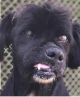 Reprodução Instagram Storie