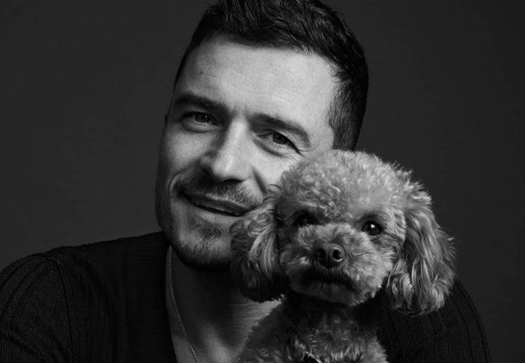 Cachorrinho sumido de Orlando Bloom é encontrado morto
