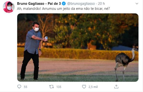 Gagliasso faz piada com foto de Bolsonaro mostrando cloroquina para uma ema