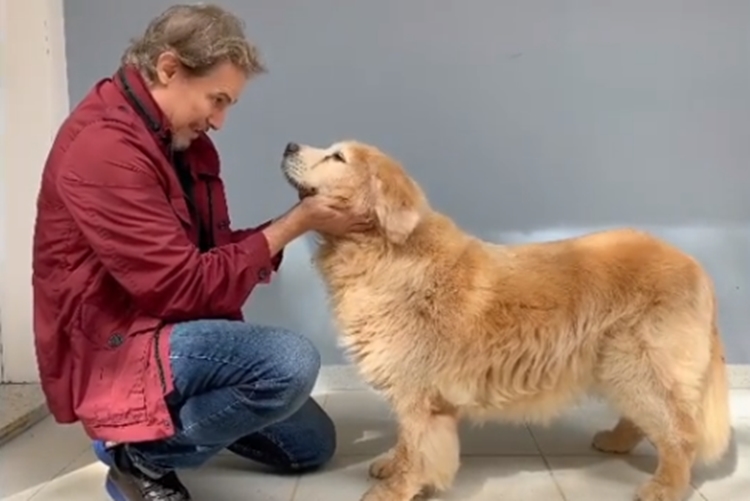 Edson Celulari fala sobre saudade do amigo pet que faleceu há um mês