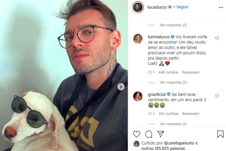 O comentário feito pela musa fitness - Reprodução: Instagram (Captura: Área VIP) O comentário feito pela musa fitness - Reprodução: Instagram (Captura: Área VIP)