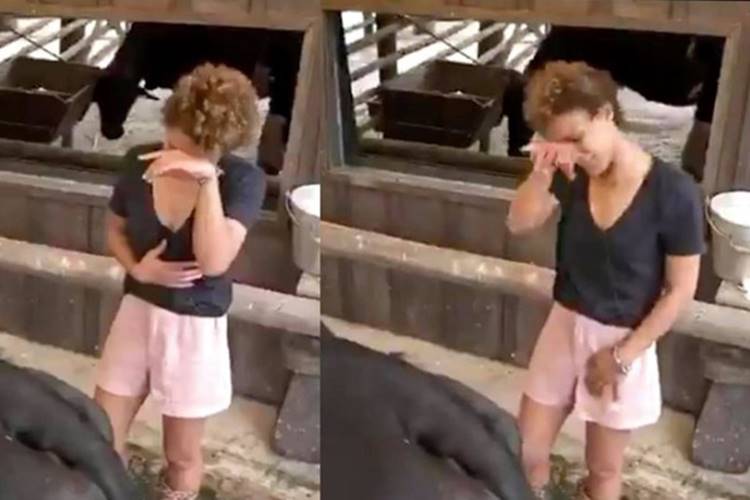 A Fazenda 12: Lidi Lisboa chora por ter que tirar leite de vaca - Foto: Reprodução/RecordTV