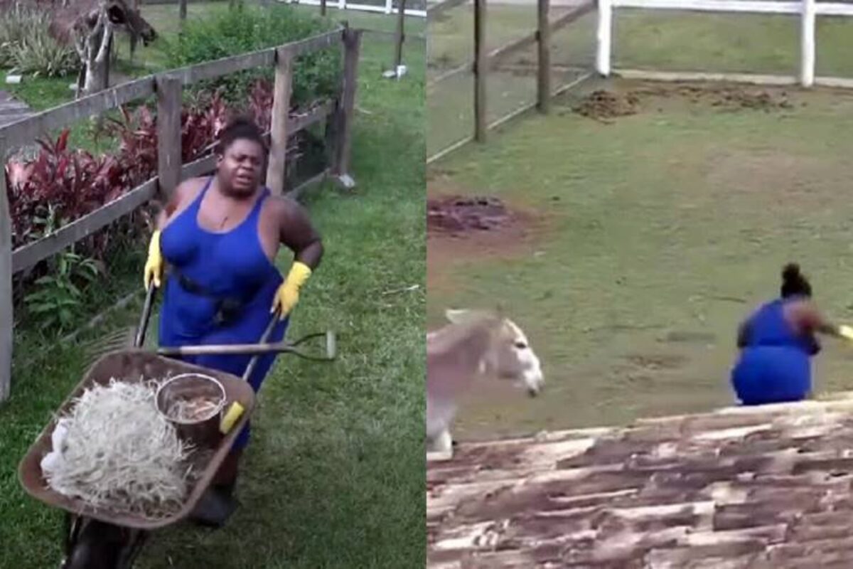 Jojo Todynho vira fábrica de memes em 'A Fazenda 12' 