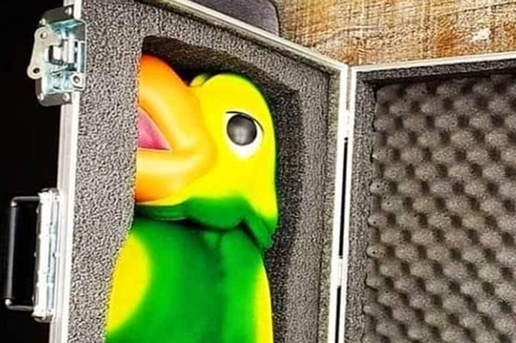 Boneco Louro José é guardado em caixa depois de morte de Tom Veiga