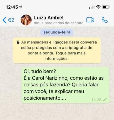 Após reality, Carol Narizinho relata que Luiza Ambiel a deixou no vácuo - Foto: Reprodução/Print WhatsApp Carol Narizinho