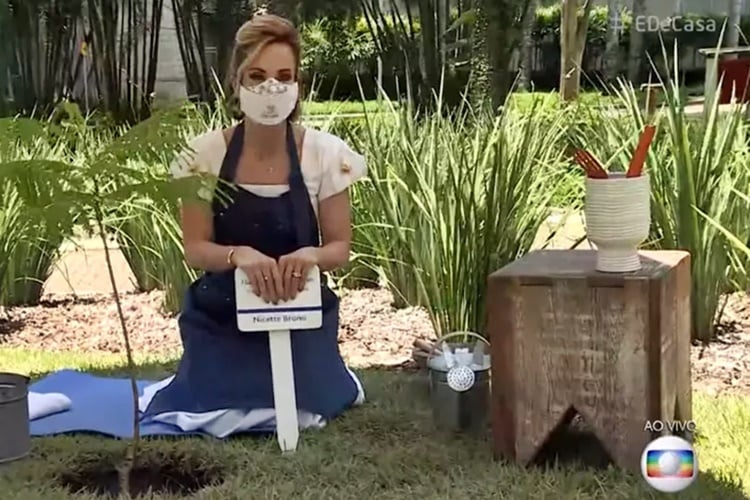 Após morte de Nicette Bruno, Ana Furtado planta árvore em homenagem a atriz, no jardim da Globo - Foto: Reprodução/Rede Globo