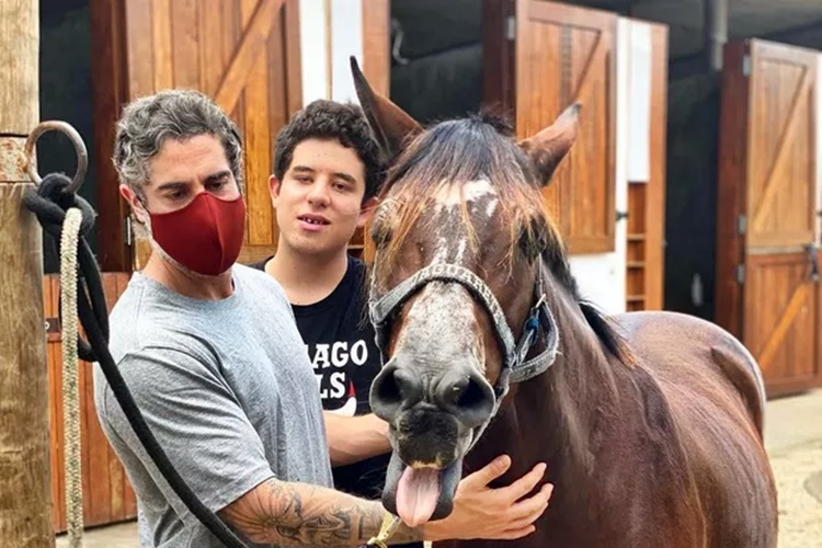 Marcos Mion surge com égua para equoterapia do filho, Romeo: ''Criar laços'' - Foto: Reprodução/Instagram