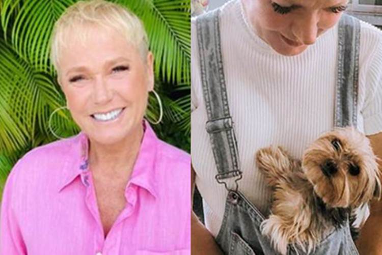 Xuxa Meneghel se apega a pet depois de morte da sua segunda mãe