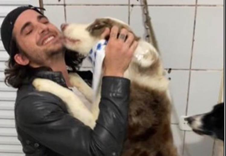 Fiuk com os cães - Instagram