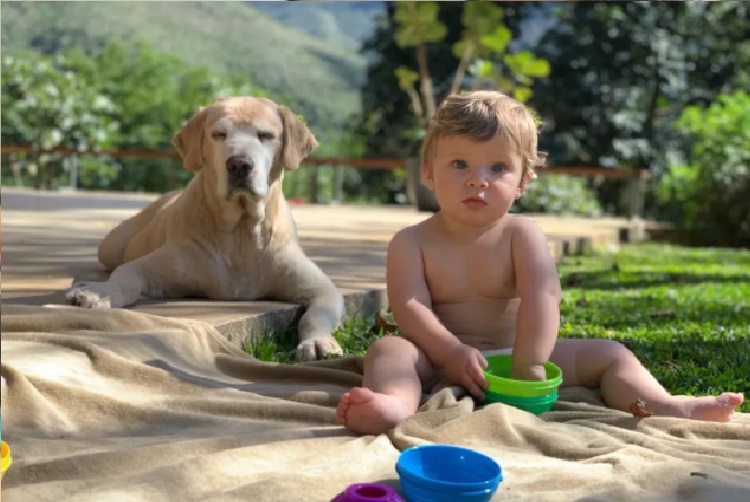 Carmo Dalla Vecchia (Foto: Reprodução Gshow)