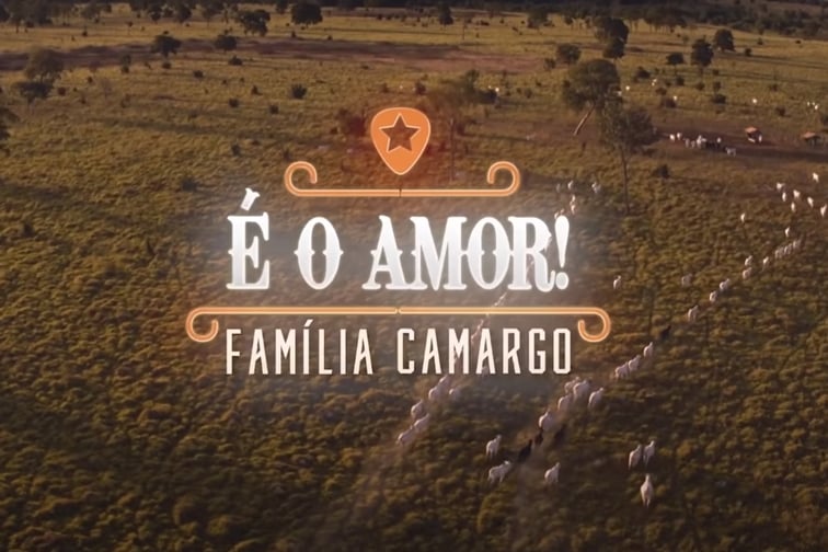 Netflix divulga trailer de ‘É o Amor’ e web repercute: “Incrível”