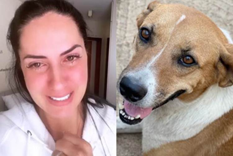 Graciele Lacerda com cachorro - Instagram