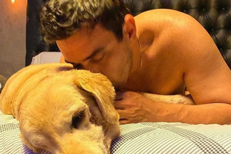 André Marques e seu pet instagram
