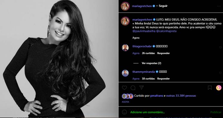 Paulinha Abelha - gretchen - print Instagram