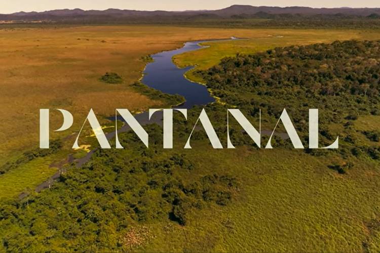 Logo - Pantanal/Globo