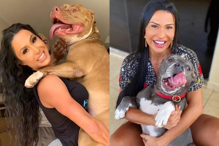 Gracyanne Barbosa relembra momentos de dor e revela consolo dos seus cães