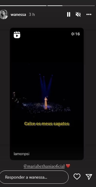 Wanessa Camargo Instagram Stories