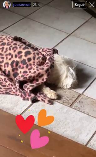 Guta Stresse 2 - print stories