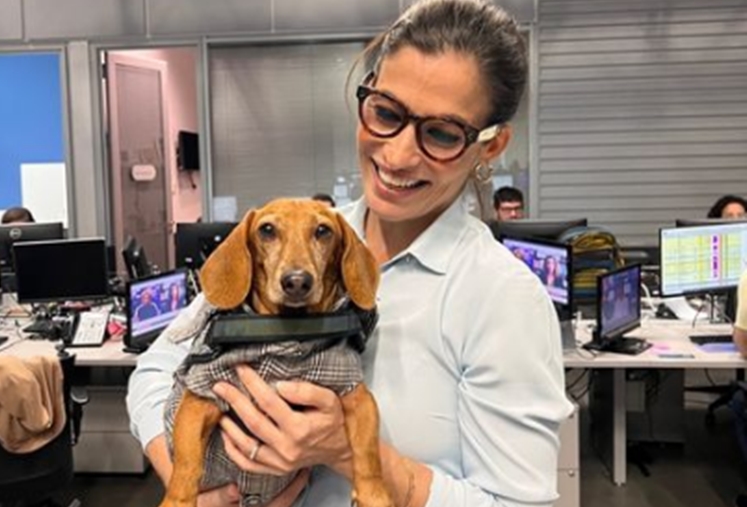 Renata Vasconcellos com cãozinho - Reprodução Instagram