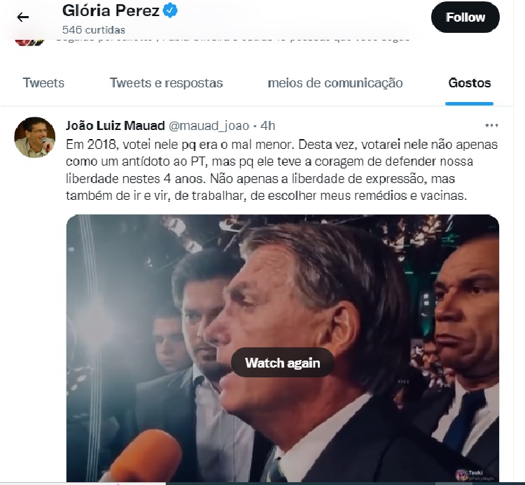 Gloria Perez curte tuíte em apoio a Jair Bolsonaro Gloria Perez curte tuíte em apoio a Jair Bolsonaro