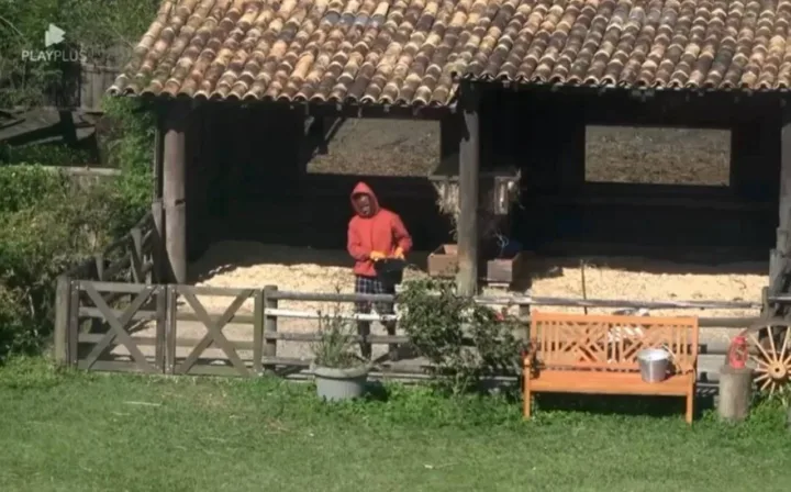 Pelé em A Fazenda 14