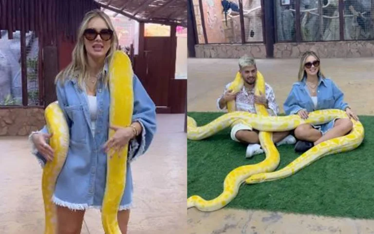 Virgínia Fonseca e Zé Felipe são criticados por posarem com cobras gigantes