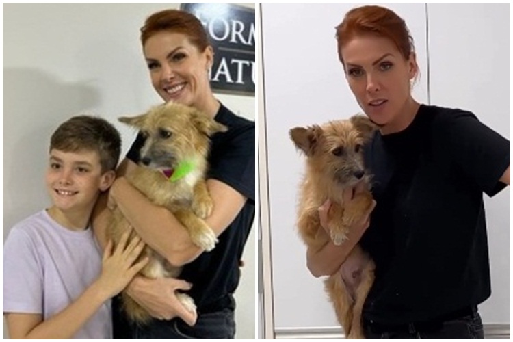 Ana Hickmann adota - Reprodução Instagram