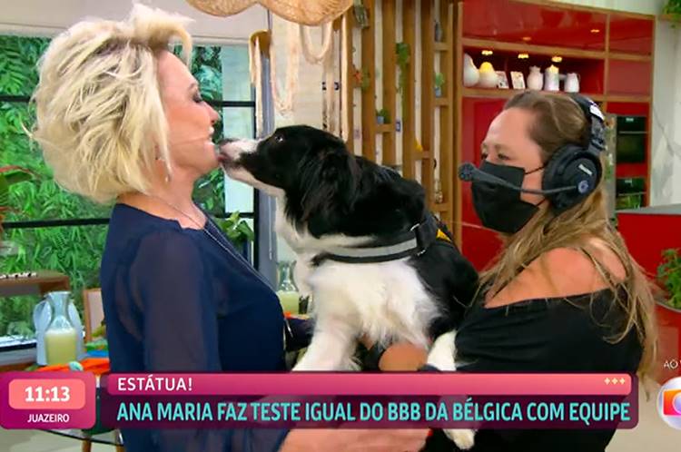 Ana Maria reproduz cena de BBB e recebe lambida de cachorro ao vivo no ‘Mais Você’