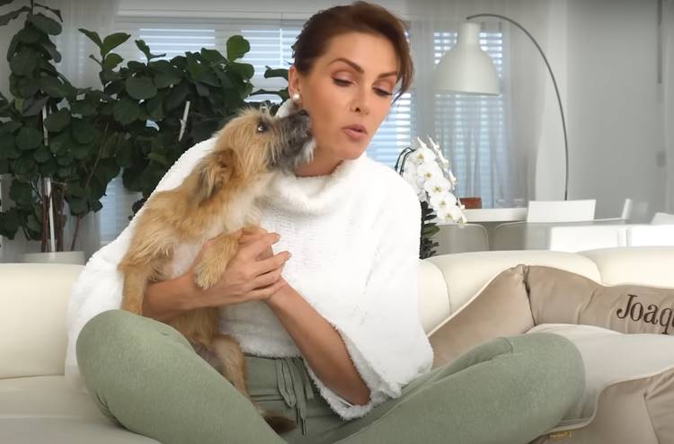 Dois meses após adoção, Ana Hickmann mostra como está o cãozinho resgatado em rodovia