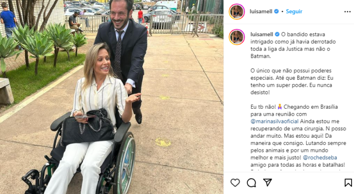 Publicação de Luisa Mell (Foto: Reprodução/Instagram)