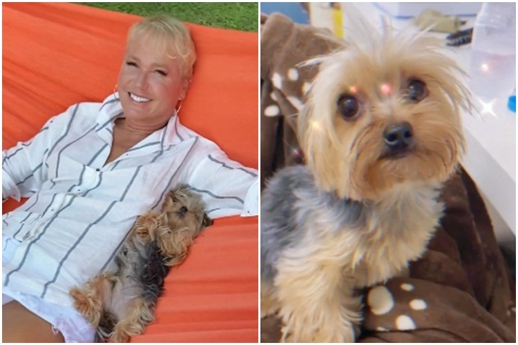 Xuxa celebra aniversário de Doralice: “Nós amamos”