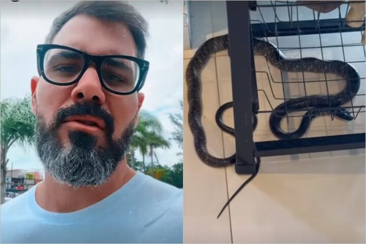 Ator Juliano Cazarré e a cobra - Foto: Instagram