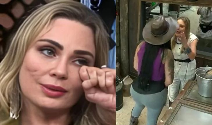 Rachel Sheherazade expõe mágoa contra Jenny: ‘acabou com o sonho dos meus filhos’